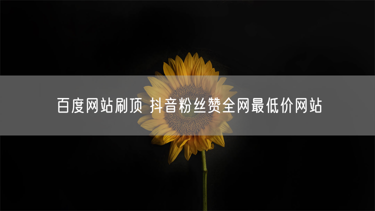 百度网站刷顶 抖音粉丝赞全网最低价网站