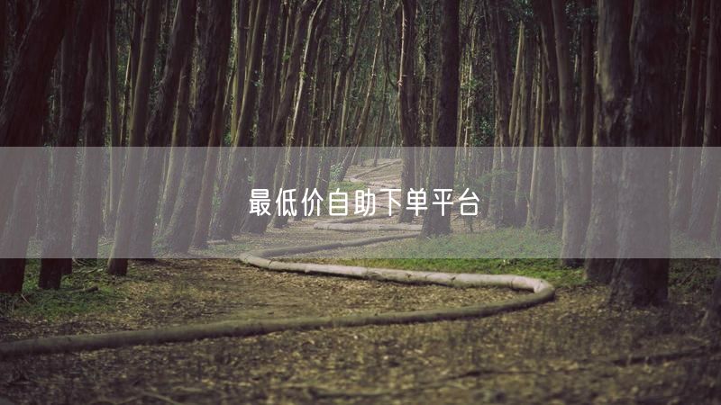 最低价自助下单平台