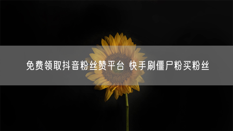 免费领取抖音粉丝赞平台 快手刷僵尸粉买粉丝
