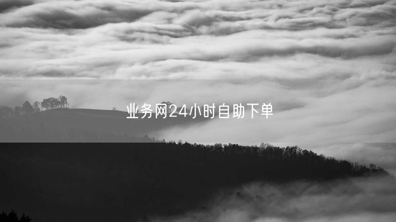 业务网24小时自助下单