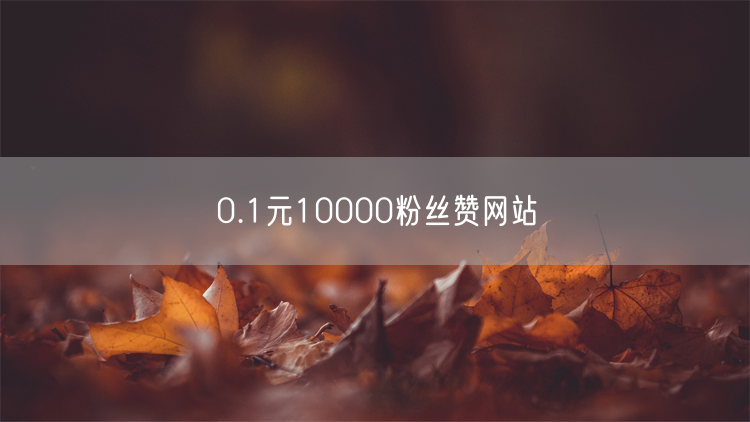 0.1元10000粉丝赞网站