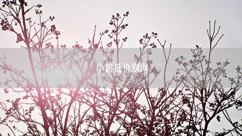 小超低价刷网
