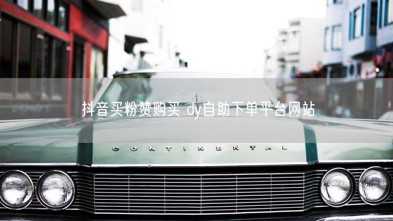抖音买粉赞购买 dy自助下单平台网站