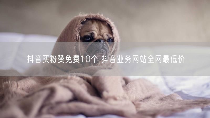 抖音买粉赞免费10个 抖音业务网站全网最低价