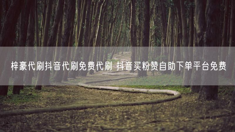 梓豪代刷抖音代刷免费代刷 抖音买粉赞自助下单平台免费
