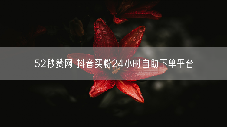 52秒赞网 抖音买粉24小时自助下单平台