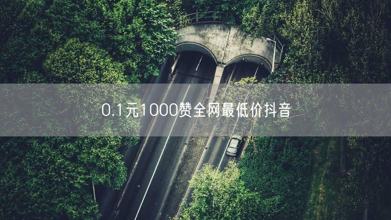 0.1元1000赞全网最低价抖音