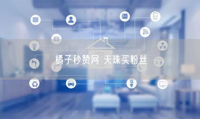 橘子秒赞网 天珠买粉丝