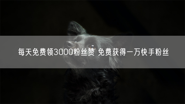每天免费领3000粉丝赞 免费获得一万快手粉丝
