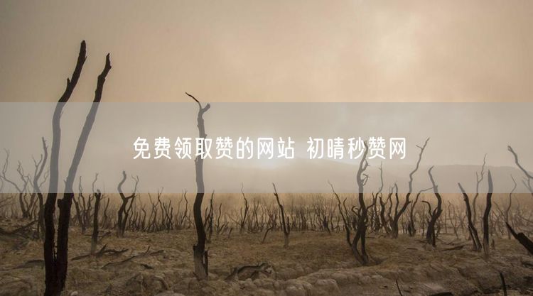 免费领取赞的网站 初晴秒赞网