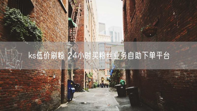 ks低价刷粉 24小时买粉丝业务自助下单平台