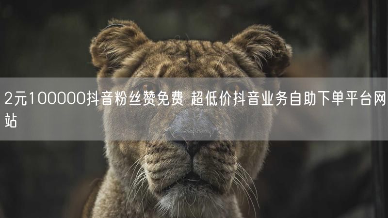 2元100000抖音粉丝赞免费 超低价抖音业务自助下单平台网站