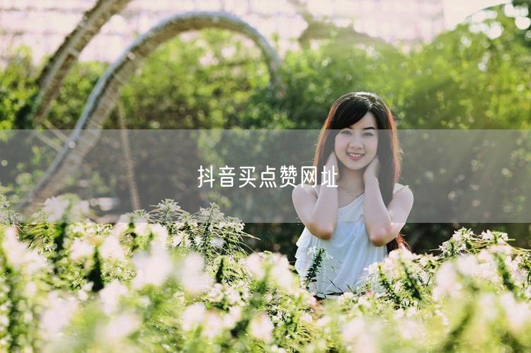 抖音买点赞网址