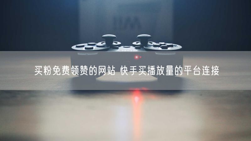 买粉免费领赞的网站 快手买播放量的平台连接
