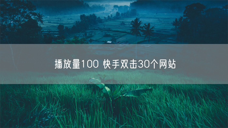播放量100 快手双击30个网站