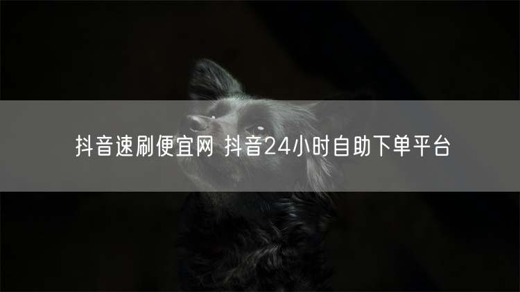 抖音速刷便宜网 抖音24小时自助下单平台