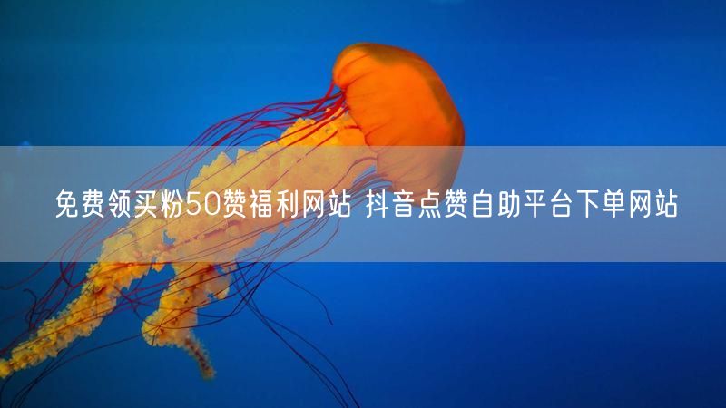 免费领买粉50赞福利网站 抖音点赞自助平台下单网站