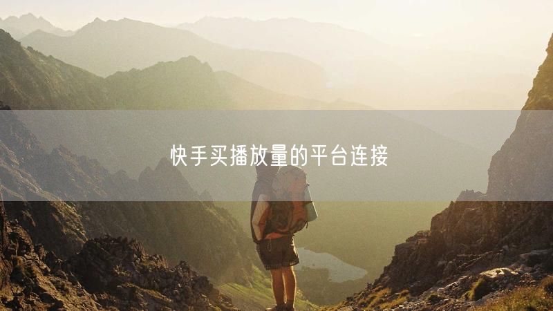 快手买播放量的平台连接