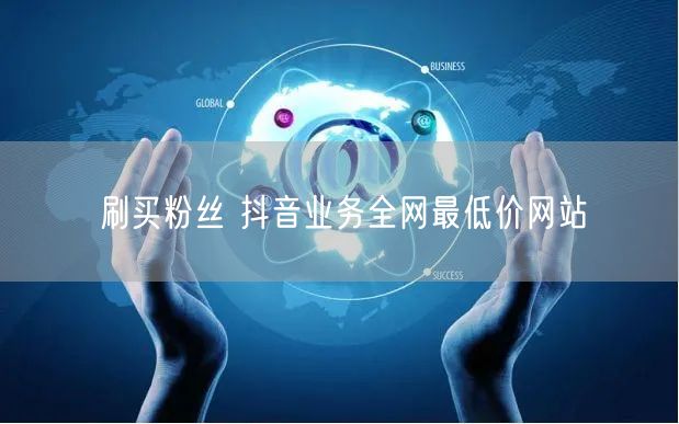 刷买粉丝 抖音业务全网最低价网站