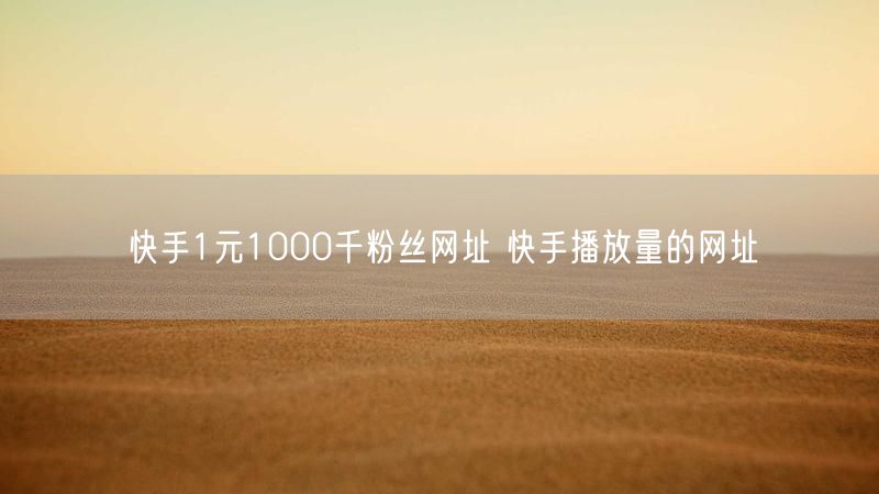快手1元1000千粉丝网址 快手播放量的网址