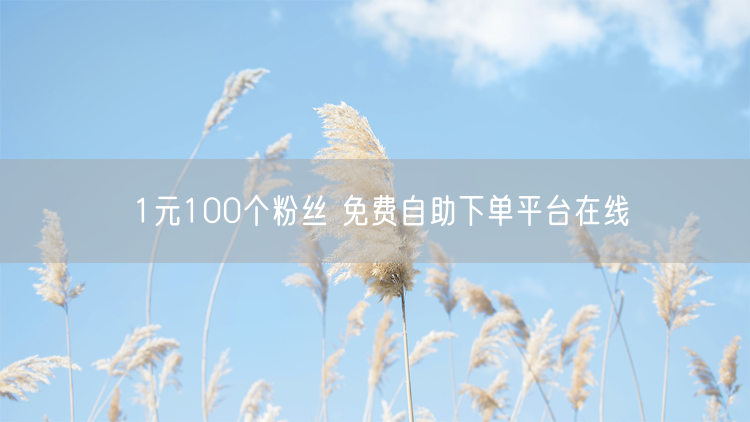 1元100个粉丝 免费自助下单平台在线