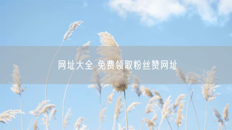 网址大全 免费领取粉丝赞网址