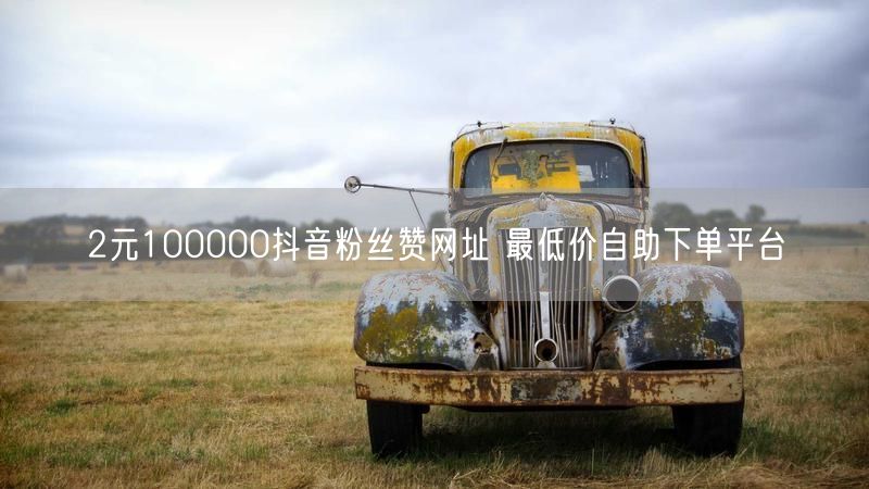 2元100000抖音粉丝赞网址 最低价自助下单平台