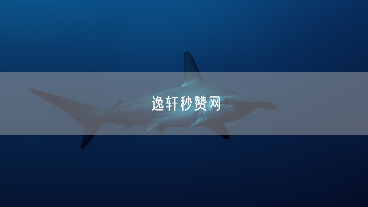 逸轩秒赞网