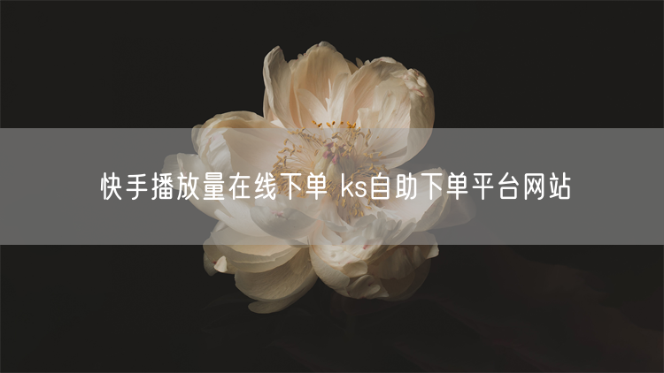 快手播放量在线下单 ks自助下单平台网站