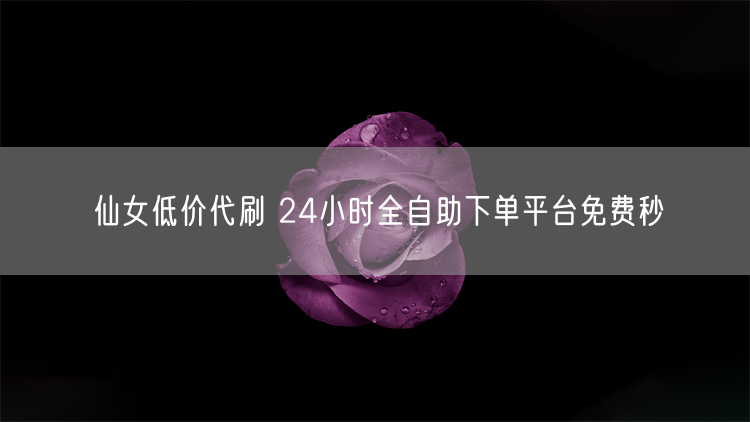 仙女低价代刷 24小时全自助下单平台免费秒