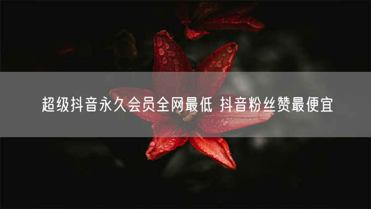 超级抖音永久会员全网最低 抖音粉丝赞最便宜