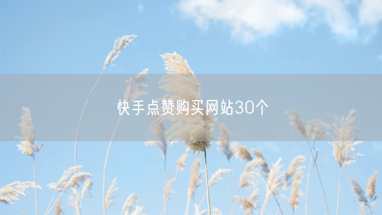 快手点赞购买网站30个