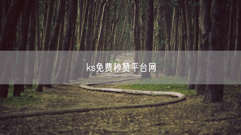 ks免费秒赞平台网