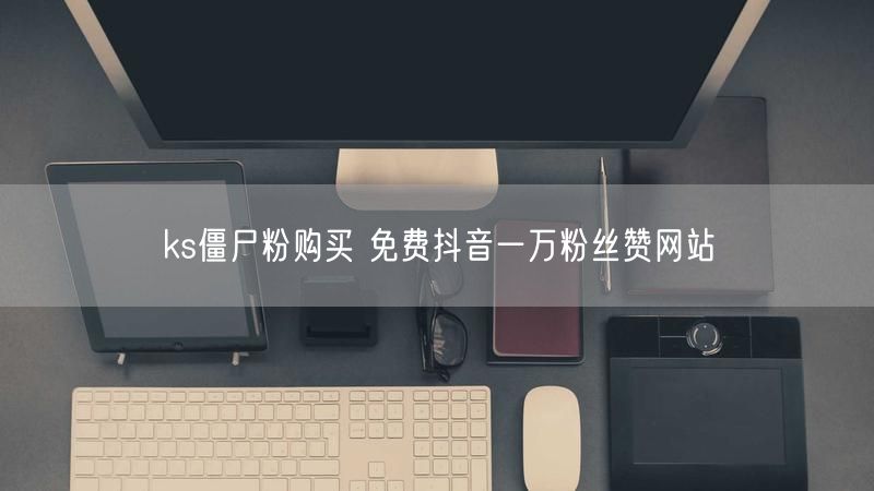 ks僵尸粉购买 免费抖音一万粉丝赞网站