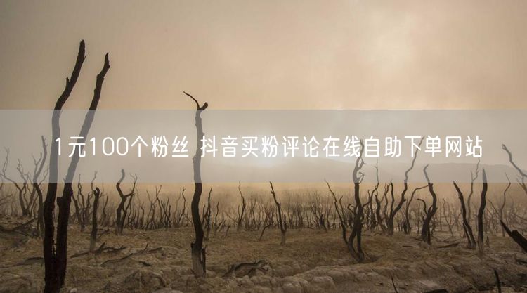 1元100个粉丝 抖音买粉评论在线自助下单网站