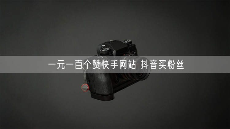 一元一百个赞快手网站 抖音买粉丝