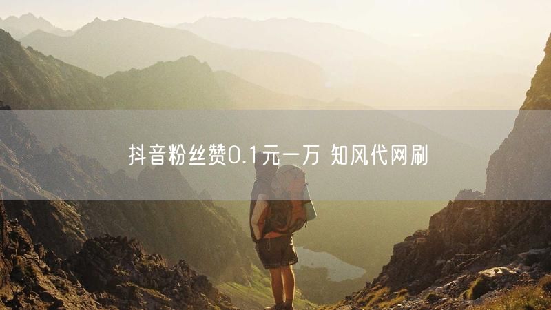 抖音粉丝赞0.1元一万 知风代网刷