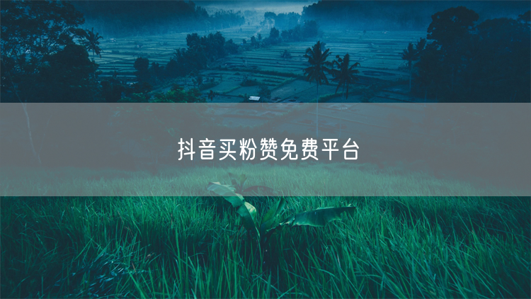 抖音买粉赞免费平台