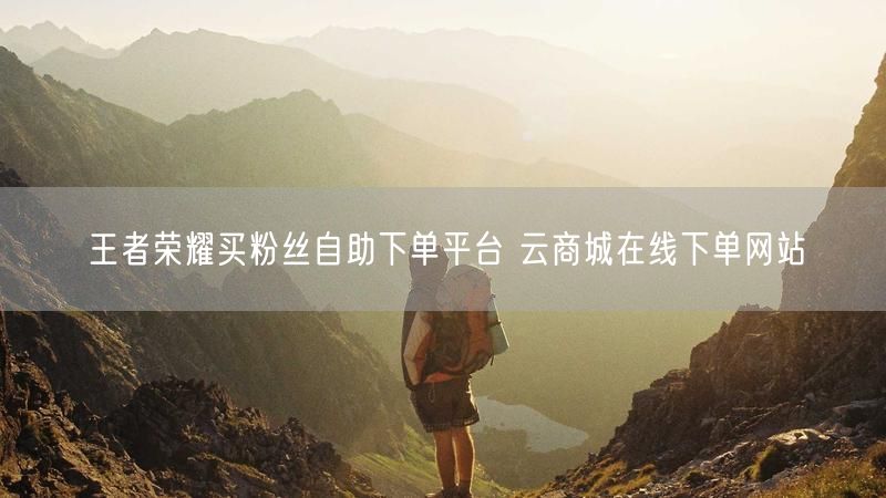 王者荣耀买粉丝自助下单平台 云商城在线下单网站