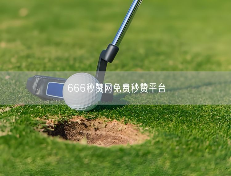666秒赞网免费秒赞平台
