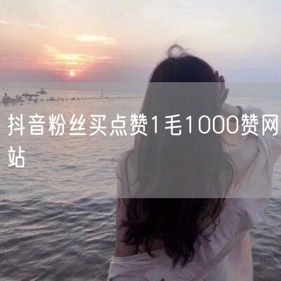抖音粉丝买点赞1毛1000赞网站