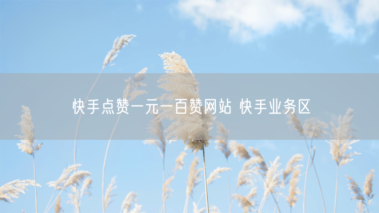 快手点赞一元一百赞网站 快手业务区