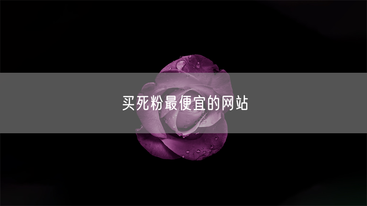 买死粉最便宜的网站
