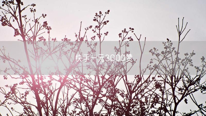 快手一元3000赞