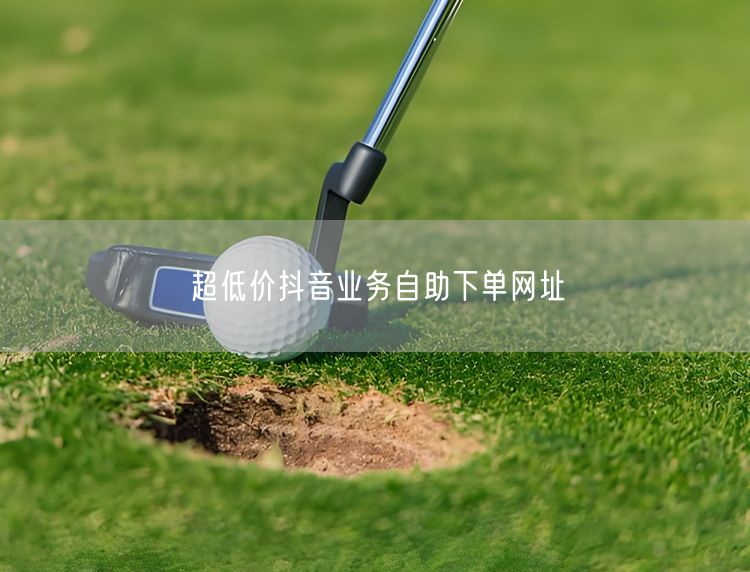 超低价抖音业务自助下单网址