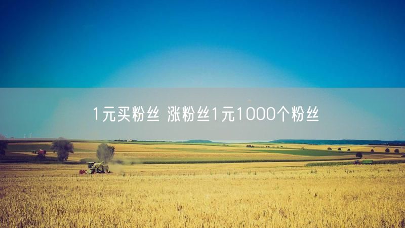 1元买粉丝 涨粉丝1元1000个粉丝