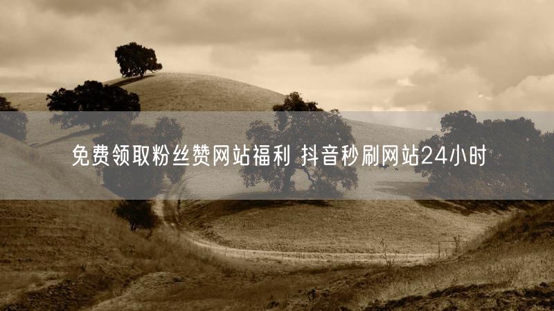 免费领取粉丝赞网站福利 抖音秒刷网站24小时