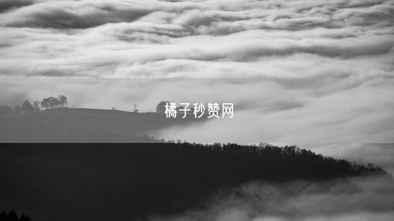 橘子秒赞网