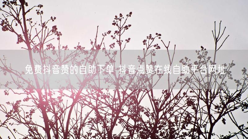 免费抖音赞的自助下单 抖音点赞在线自助平台网址