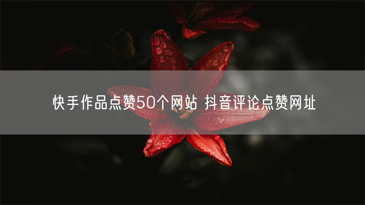 快手作品点赞50个网站 抖音评论点赞网址